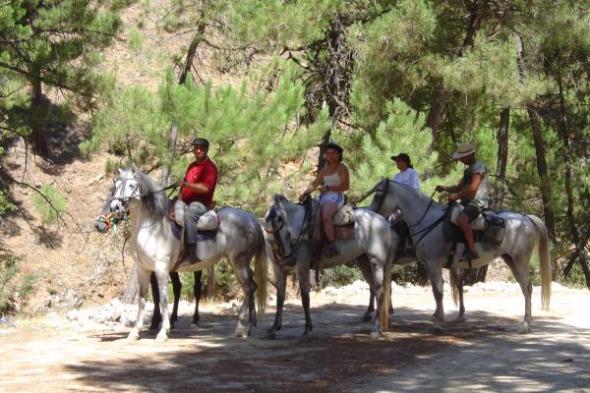 rutas a caballo en Málaga, Andalucía